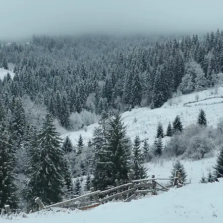 Ferienhaus Дім У Карпатах *