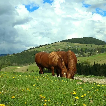 дім у карпатах Verkhovyna